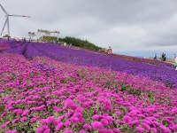 사계절산악회 10월 정기산행 - ♣ 산행안내 및 신청방 ♣ - 진주사계절산악회 사계절산악회 10월 정기산행
