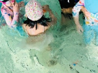 🏊🏻♀️수영수업 - 높은 하늘반 - 탑석아이랜드어린이집 🏊🏻‍♀️수영수업