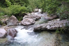 8월1일 정기산행 경남 밀양 구만산(785m) - 정기산행신청 - 서산 필 산악회 8월1일 정기산행 경남 밀양 구만산(785m)