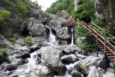8월1일 정기산행 경남 밀양 구만산(785m) - 정기산행신청 - 서산 필 산악회 8월1일 정기산행 경남 밀양 구만산(785m)