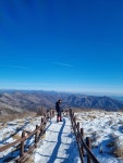 함백산~중함백~은대봉~만항재 왕복산행 - ▩▒☞ 자유게시판 - 매일투어산악회/블야100명산/백두대간/트레킹/섬&산 함백산~중함백~은대봉~만항재... 