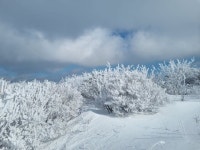 소백산~겨울왕국~최강 한파 정상에서만~ - ▩▒☞ 자유게시판 - 매일투어산악회/블야100명산/백두대간/트레킹/섬&산 소백산~겨울왕국~최강 한파... 