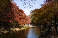강천산(2025년 11월) - 전북의 산 - 안전산행즐거운산행 강천산(2025년 11월)