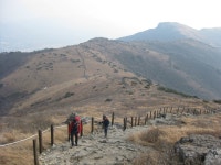 영알 영축산 신불산 2 - 영남알프스 자락산행 - 사랑하는 우리가족(강일학) 영알 영축산 신불산 2