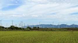 서해랑길 37코스(영광구간) 2025.9.26 - 서해랑길종주2021.3 - 클럽 마루 BUCHEON-CLUBMARU 서해랑길 37코스(영광구간) 2025.9.26