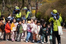 대아유아숲 & 산림문화체험 - 6세반 - 어린이집행사앨범 - 송천동트는어린이집 대아유아숲 & 산림문화체험 - 6세반