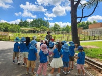전주 동물원🐘🐅🦚 - 푸른나무(7세 박혜진선생님) - 송천동트는어린이집 전주 동물원🐘🐅🦚