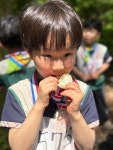 유아숲 사랑단 발대식 및 탄생숲 마라톤 - 맑은샘물(7세김채림선생님) - 송천동트는어린이집 유아숲 사랑단 발대식 및 탄생숲 마라톤