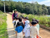 🌳건지산숲에 다녀왔어요🌳 (숲해설) - 나무향기(5세이한비선생님) - 송천동트는어린이집 🌳건지산숲에 다녀왔어요🌳 (숲해설)