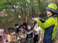 건지유아숲체험원💚 - 고운햇살(6세김채림선생님) - 송천동트는어린이집 건지유아숲체험원💚