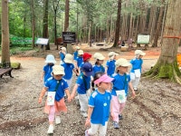 🌳건지산 숲에 다녀왔어요🌳(숲해설) - 나무향기(5세이한비선생님) - 송천동트는어린이집 🌳건지산 숲에 다녀왔어요🌳(숲해설)