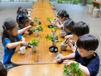 대아수목원 - 산호수 토피어리 🪴 - 고운햇살(6세김채림선생님) - 송천동트는어린이집 대아수목원 - 산호수 토피어리 🪴