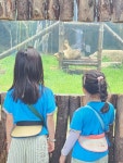 전주 동물원🐘🐅🦚 - 푸른나무(7세 박혜진선생님) - 송천동트는어린이집 전주 동물원🐘🐅🦚