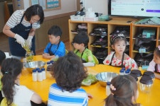 농산물 수확체험 및 창의체험 - 매실수확 (7세반) - 어린이집행사앨범 - 송천동트는어린이집 농산물 수확체험 및 창의체험 - 매실수확 (7세반)