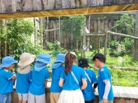 전주 동물원🐘🐅🦚 - 푸른나무(7세 박혜진선생님) - 송천동트는어린이집 전주 동물원🐘🐅🦚