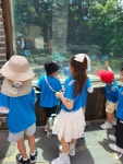 전주 동물원🐘🐅🦚 - 푸른나무(7세 박혜진선생님) - 송천동트는어린이집 전주 동물원🐘🐅🦚