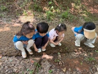 건지유아숲🌳 보훈누리공원🇰🇷 - 고운햇살(6세김채림선생님) - 송천동트는어린이집 건지유아숲🌳 보훈누리공원🇰🇷