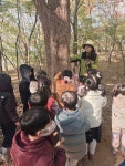 🍁건지유아숲체험원-‘단풍나무숲’ - 초록잎새(6세심소연선생님) - 송천동트는어린이집 🍁건지유아숲체험원-‘단풍나무숲’