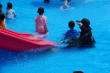 임실 119안전체험 & 물놀이 - 5세반 - 어린이집행사앨범 - 송천동트는어린이집 임실 119안전체험 & 물놀이 - 5세반