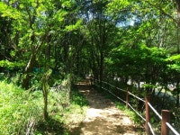 ★ 8월7일 남덕유산.서출동류 물길 트레킹 공지 ★ - :.*.:정기산행공지.신청。。 - 경남월요산악회 경남월요산악회