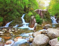 ★ 8월7일 남덕유산.서출동류 물길 트레킹 공지 ★ - :.*.:정기산행공지.신청。。 - 경남월요산악회 경남월요산악회