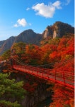 ★ 10월27일 전북 완주 대둔산 정기산행 공지(단풍산행) ★ - :.*.:정기산행공지.신청。。 - 경남월요산악회 경남월요산악회