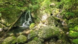 항골.숨바우길(답사1) - 정기 산행사진─┐ - 반더룽산악회 항골.숨바우길(답사1)