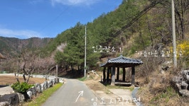 3km 진행] 슬픈 역사를 간직한 일월산자생화공원과 우련전 의미를... 3km 진행] 슬픈 역사를 간직한 일월산자생화공원과 우련전 의미를 찾다