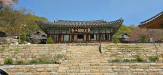 4월15~16일 서산 용현자연휴양림 야영장 - 개인 자유사진─│ - 반더룽산악회 4월15~16일 서산 용현자연휴양림 야영장