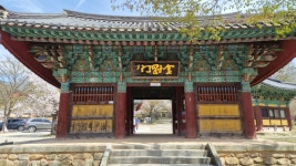 모악산-2026.04.05 - 정기 산행사진─┐ - 반더룽산악회 모악산-2026.04.05