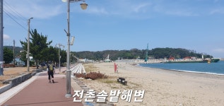 [해파랑길 11코스 ] 문무대왕릉 ~ 감포항 (역사를 걷는 파도길) 25.07.12(토) - 해파랑길 사진─│ - 반더룽산악회 [해파랑길 11코스 ]... 