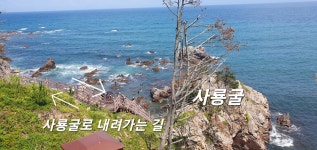 [해파랑길 11코스 ] 문무대왕릉 ~ 감포항 (역사를 걷는 파도길) 25.07.12(토) - 해파랑길 사진─│ - 반더룽산악회 [해파랑길 11코스 ]... 