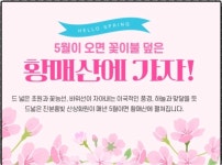 황매산 철쭉산행&감암산 누룩덤 산행 - ▶가고싶은 산행지 요청 - 반더룽산악회 황매산 철쭉산행&감암산 누룩덤 산행