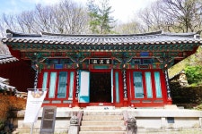 260404 봄이 흩날리며 마음에 내려앉는 길 🌸 [쌍계사 십리벚꽃길]... 봄이 흩날리며 마음에 내려앉는 길 🌸 [쌍계사 십리벚꽃길]🌸 트레킹