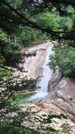 2026 07 25 설악산 12선녀계곡 - 정기 산행사진─┐ - 반더룽산악회 2026 07 25 설악산 12선녀계곡
