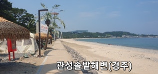 해파랑길 제10코스 (울산 정자항~경주 나아해변) 25.06.28 (토) - 해파랑길 사진─│ - 반더룽산악회 해파랑길 제10코스 (울산 정자항~경주...
