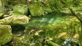 항골.숨바우길(답사1) - 정기 산행사진─┐ - 반더룽산악회 항골.숨바우길(답사1)