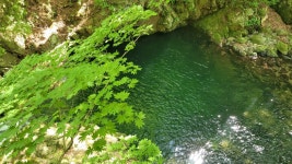 항골.숨바우길(답사1) - 정기 산행사진─┐ - 반더룽산악회 항골.숨바우길(답사1)