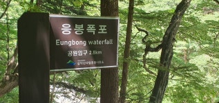 2025.7.12 12선녀탕 산행 ~~~ - 정기 산행사진─┐ - 반더룽산악회 2025.7.12 12선녀탕 산행 ~~~