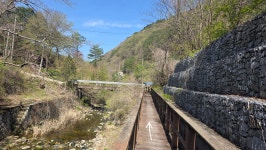 3km 진행] 슬픈 역사를 간직한 일월산자생화공원과 우련전 의미를... 3km 진행] 슬픈 역사를 간직한 일월산자생화공원과 우련전 의미를 찾다