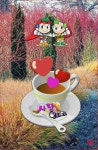 끊임없이 머리를 쓰자, 백발에도 뇌는 총명하도록. - ◆...놔건강 관리방 - 엔카 컴나라 끊임없이 머리를 쓰자, 백발에도 뇌는 총명하도록.