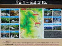 2026년8월23일 정선 항골숨바우길 백석봉(1237m)* 한성기준 6시 출발 * - 일요 / 산행 신청방 - 안양산죽산악회 (안양산죽회) 2026년8월23일... 