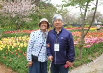 20260422 효도관광(안면도, 홍성성당) 사진(3) - 2026 행사 사진 모음 - 군산조촌동성당 20260422 효도관광(안면도, 홍성성당) 사진(3)