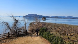 남파랑길 61 코스 : 순천만 갈대밭 - ☆정기산행사진______☆ - 포항가배산악회 남파랑길 61 코스 : 순천만 갈대밭