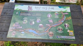 속리산 세조길 - ☆정기산행사진______☆ - 포항가배산악회 속리산 세조길