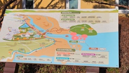 남파랑길 61 코스 : 순천만 갈대밭 - ☆정기산행사진______☆ - 포항가배산악회 남파랑길 61 코스 : 순천만 갈대밭