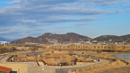 남파랑길 61 코스 : 순천만 갈대밭 - ☆정기산행사진______☆ - 포항가배산악회 남파랑길 61 코스 : 순천만 갈대밭