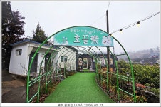 제주 올레길 16코스 ; 2026. 02. 27. - 개인 산행기, 여행기 - 오지의 마을과 산과 계곡 제주 올레길 16코스 ; 2026. 02. 27.
