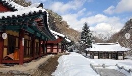 제186차 12월27일 송년산행 안내 - 정기산행 공지 - 광주다온산악회 제186차 12월27일 송년산행 안내