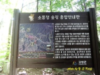 건봉사트레킹 쌍용회관 07:00시출발 회비50,000원(동해안 물회 포함)... 신청하기 ☞ - ♣춘천한일산악회♣ 제14회차 8월16일(토)... 